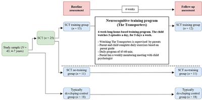 14yarss Xxx - Frontiers | Early Preventive Intervention for Young Children With Sex  Chromosome Trisomies (XXX, XXY, XYY): Supporting Social Cognitive  Development Using a Neurocognitive Training Program Targeting Facial  Emotion Understanding