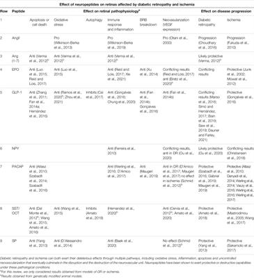 Frontiers | Relevance of Peptide Homeostasis in Metabolic Retinal ...