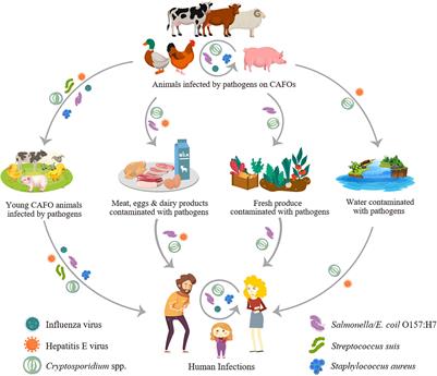 Pathogens  December 2021 - Browse Articles