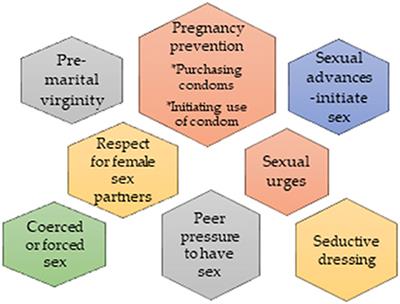 Frontiers Gender norms and ideologies about adolescent sexuality A mixed-method study of adolescents in communities, south-eastern, Nigeria image photo