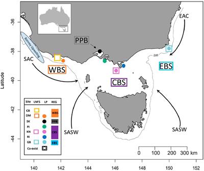 Frontiers | Tracing Seal Predation Back to the Source Colony of Their ...