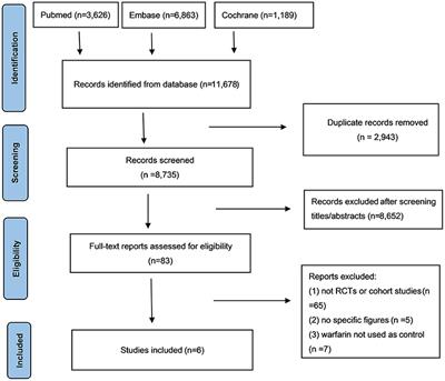 Frontiers | Intraocular Bleeding in Patients With Atrial Fibrillation ...