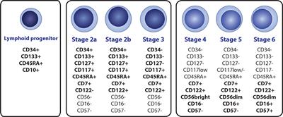 Frontiers | Natural Killer Cells in the Malignant Niche of Multiple Myeloma