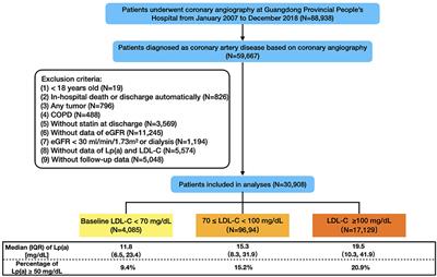 Frontiers  Association of Lipoprotein(a)-Associated Mortality and