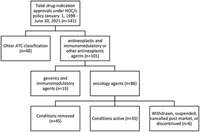 Frontiers | Conditional Drug Approval as a Path to Market for Oncology ...