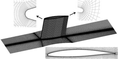The Outer Boundary Layer - CF-MESH+