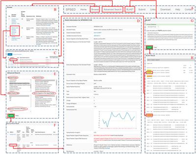 Frontiers | SPSED: A Signal Peptide Secretion Efficiency Database