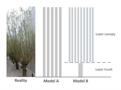 LeWoS: A universal leaf‐wood classification method to facilitate the 3D  modelling of large tropical trees using terrestrial LiDAR - Wang - 2020 -  Methods in Ecology and Evolution - Wiley Online Library