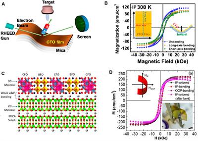 Flexible Magnets: Properties, Types, Products, and Applications