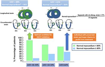 Frontiers | SGLT2 Inhibition in HFpEF. Do We Need More Quantitative and ...