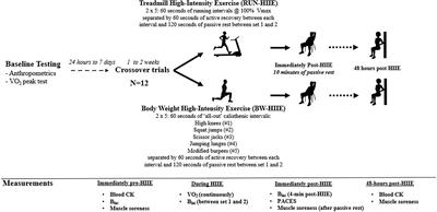 Frontiers  Elevated Lactate by High-Intensity Interval Training