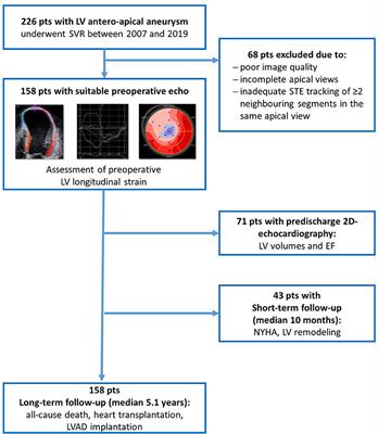 Frontiers  The Predictive Value of Right Ventricular Longitudinal