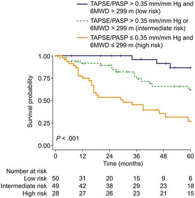 Frontiers | Relevance of Cor Pulmonale in COPD With and Without ...