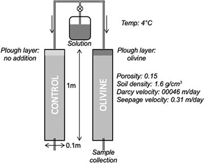 Frontiers | The Dissolution of Olivine Added to Soil at 4°C ...