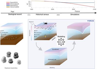 PDF) Reconstructing Historical Changes in Combustion Patterns by