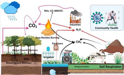 Greenhouse Gas Emissions And Terrestrial Ecosystems Frontiers Research Topic