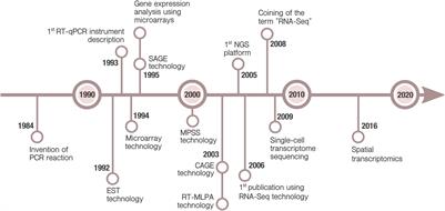 Frontiers | Contribution and Future of High-Throughput Transcriptomics in  Battling Tuberculosis