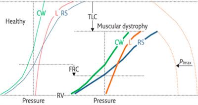 Smothering time above the smothering threshold (t valid ) versus mean