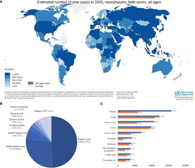 Frontiers | Nasopharyngeal Carcinoma and Its Microenvironment: Past ...