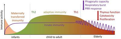 How Breath and the Cold Can Support Your Immune System – BRINK