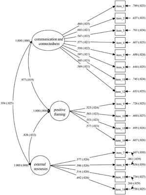 Frontiers  The Family Health Scale: Reliability and Validity of a Short-  and Long-Form