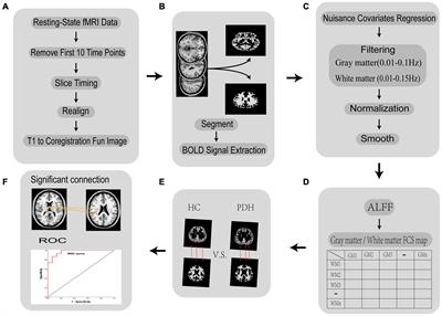 Reorganizations of latency structures within the white matter from