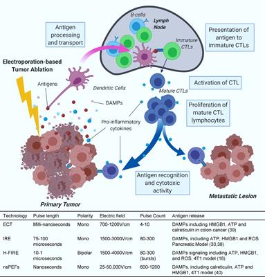 Frontiers | Exploration of Novel Pathways Underlying Irreversible ...