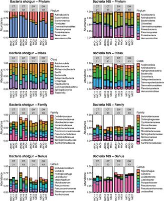 Frontiers  Taxonomical composition and functional analysis of