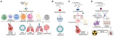 Frontiers | Bypassing the Gut–Lung Axis via Microbial Metabolites ...