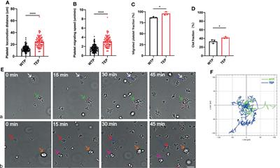 Frontiers | Tumor-Educated Platelets Facilitate Thrombus Formation ...