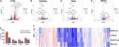 Frontiers  Splenic protection network revealed by transcriptome