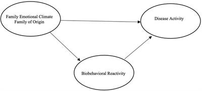 Frontiers | The biobehavioral family model with a seminarian population ...