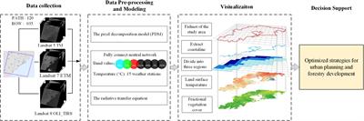 Frontiers  A Case Study of the Relationship Between Vegetation Coverage  and Urban Heat Island in a Coastal City by Applying Digital Twins