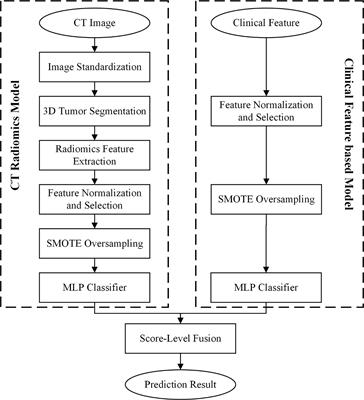 Frontiers | Assessment of Primary Colorectal Cancer CT Radiomics to ...