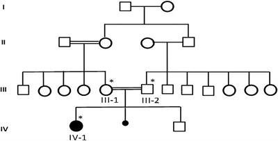 Frontiers | Next-Generation Sequencing Reveals Novel Homozygous ...