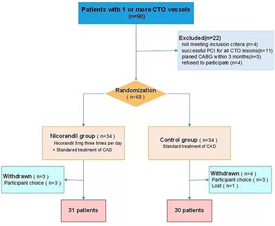 Improvement of left ventricular function assessment by global longitudinal  strain after successful percutaneous coronary intervention for chronic  total occlusion