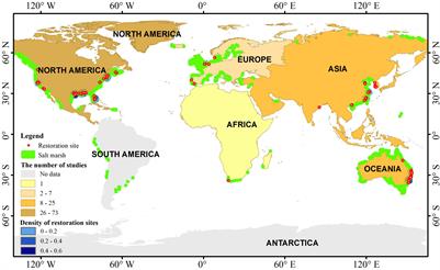 Frontiers | Economic Evaluation and Systematic Review of Salt Marsh ...