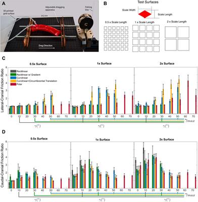 What Can Snakes Teach Us About Engineering Friction?