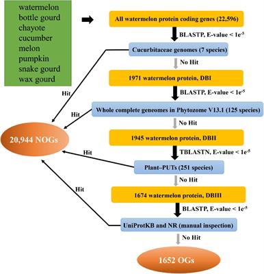 The impact of local genomic properties on the evolutionary fate of genes