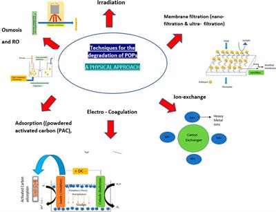 Frontiers | Recent advances in the elimination of persistent organic ...