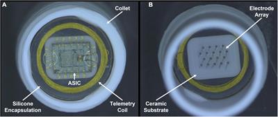 Wireless floating microelectrode array (WFMA) used in this study.