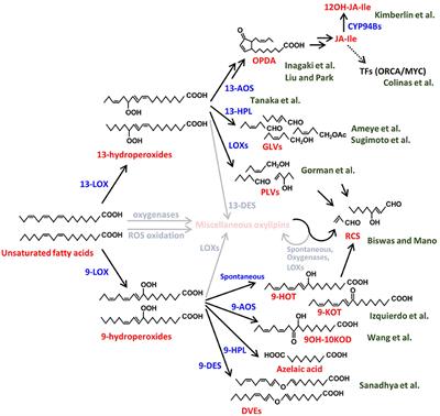 Frontiers plant science impact factor information