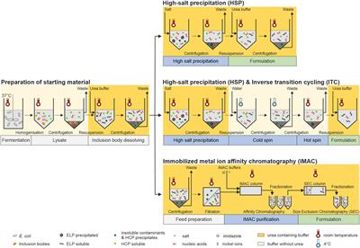 T,-based hydrophobicity scale for proteins. T, = temperature of inverse