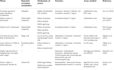 Frontiers Review On Plant Based Management In Combating Antimicrobial Resistance Mechanistic Perspective