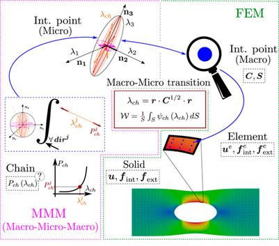 Comparing micro to macro. (A) A biological microscale, here a set of