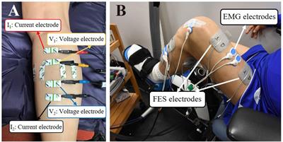 Frontiers  The Use of Functional Electrical Stimulation on the