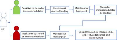 Evaluation of anti-TNF therapeutic response in patients with inflammatory  bowel disease: Current and novel biomarkers - eBioMedicine