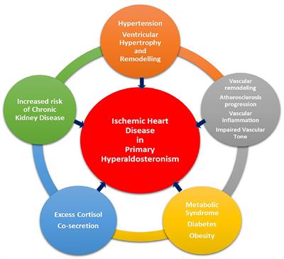 Left ventricular remodeling and dysfunction in primary aldosteronism