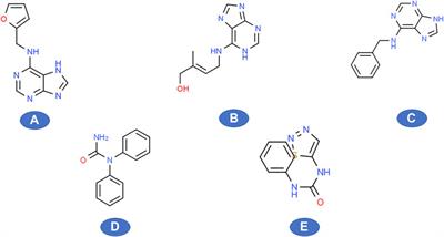 Frontiers Cytokinins A Genetic Target For Increasing Yield Potential In The Crispr Era