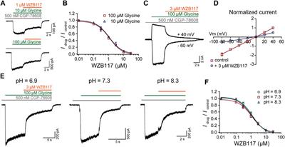 Frontiers | Identification of a Subtype-Selective Allosteric Inhibitor ...